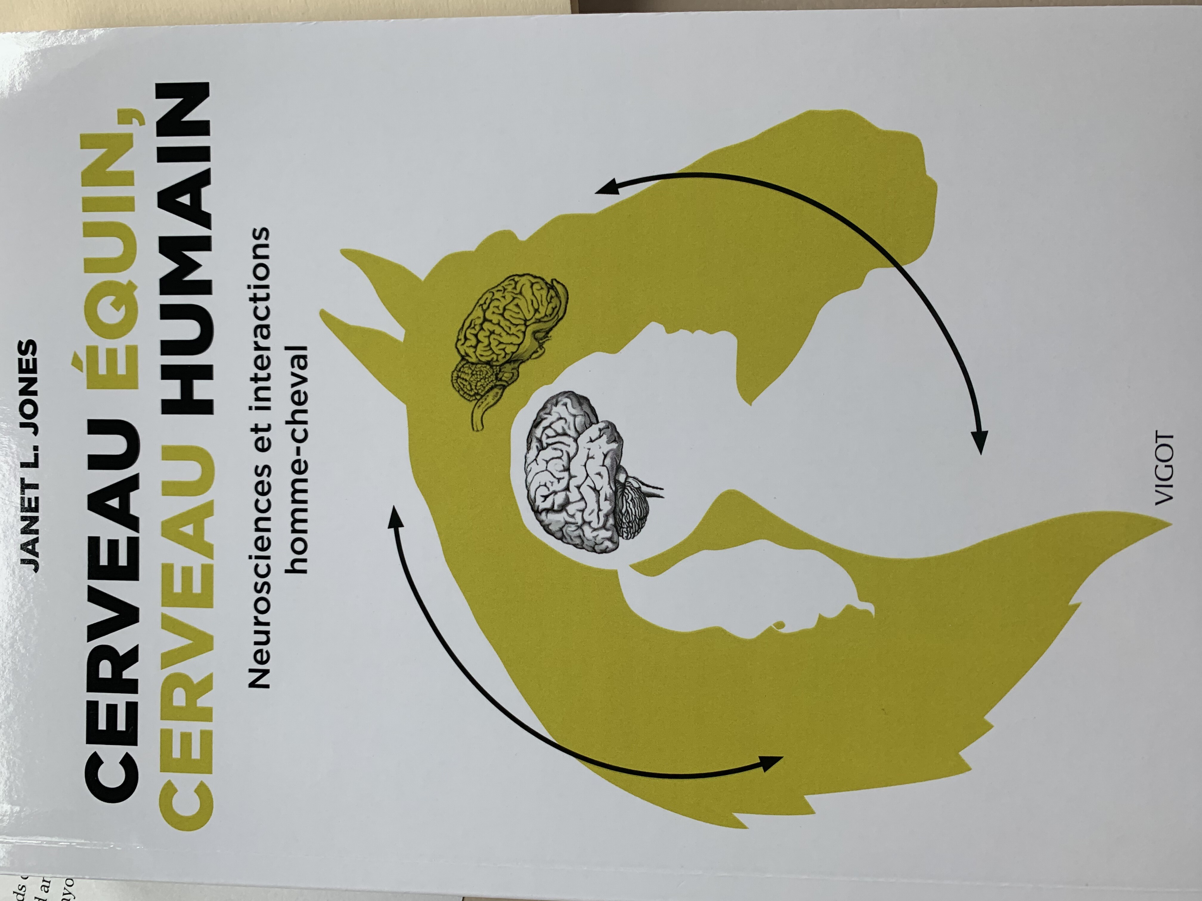 Cerveau équin, cerveau humain